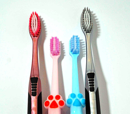 FamilyCare Premium Toothbrush Set | Dental Care | Pack of 4